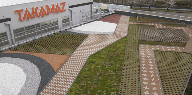 Lịch sử h&igrave;nh th&agrave;nh v&agrave; định hướng ph&aacute;t triển của Takamaz